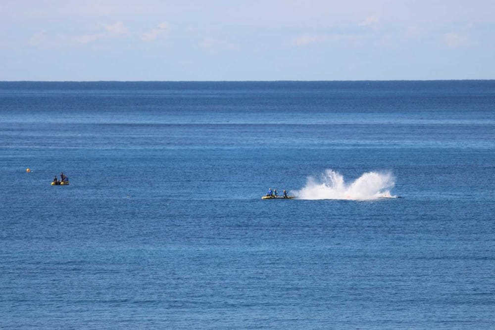 Whale Rescued at Rainbow Beach post image