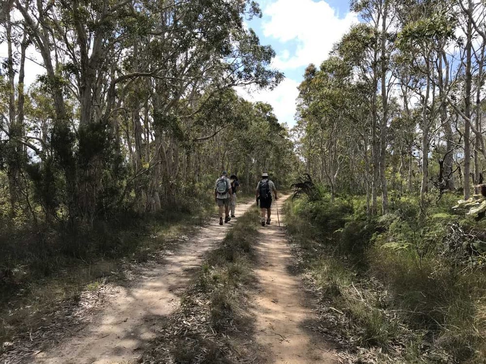 Spring is in the air in Cooloola post image