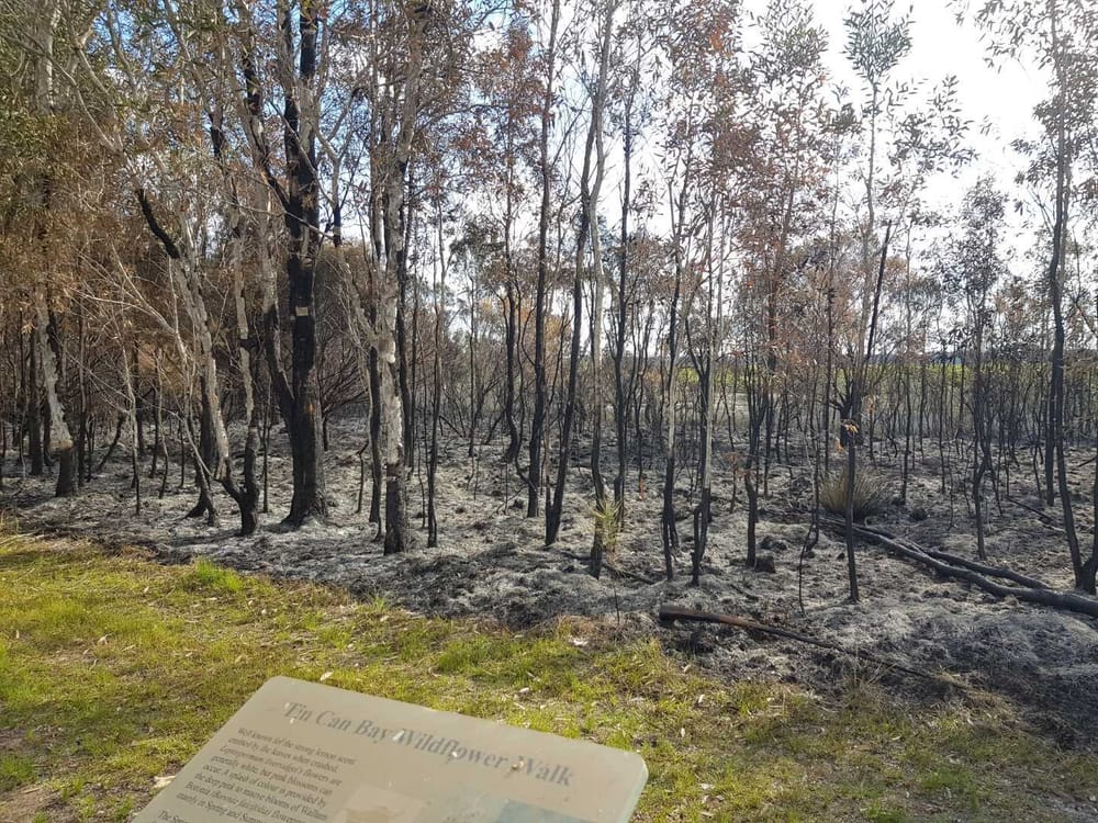 Arson marrs hazard reduction burn post image