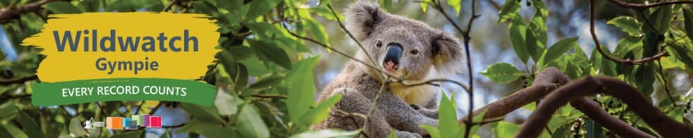 Wildwatch Gympie Nature post image