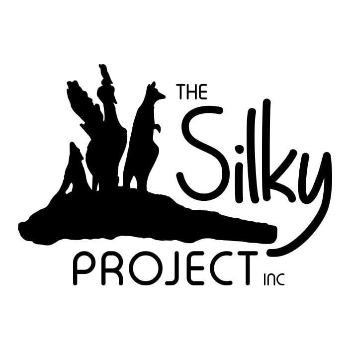 The Silky Project: ‘From a Silky Oak Tree Stump to 21 Bronze Native Australian Animals’ post image