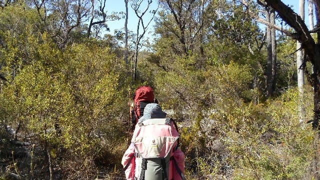 Bushfire review - Image Ellie Boak