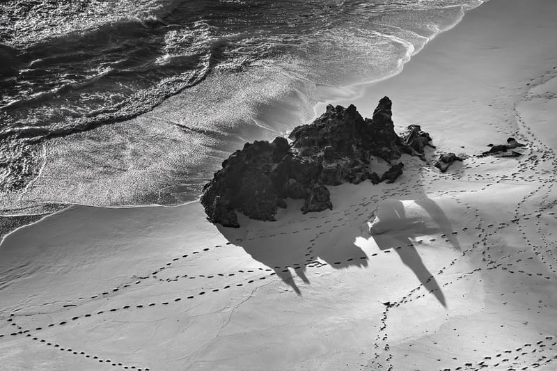 The Tin Can Bay Camera Club’s A Grade Silver Award won by Julie Hartwig, titled Making Tracks