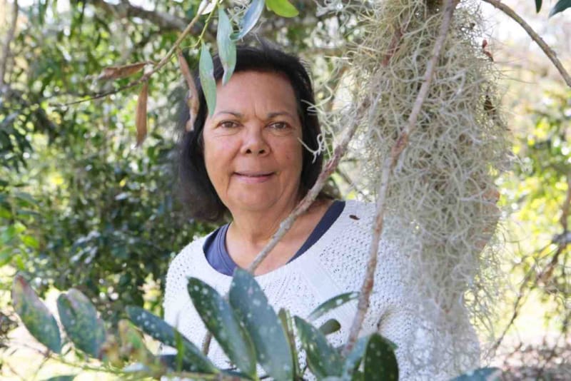 Join Butchulla Elder Nai Nai Bird for a talk about the artworks at the Gympie Regional Gallery exhibition