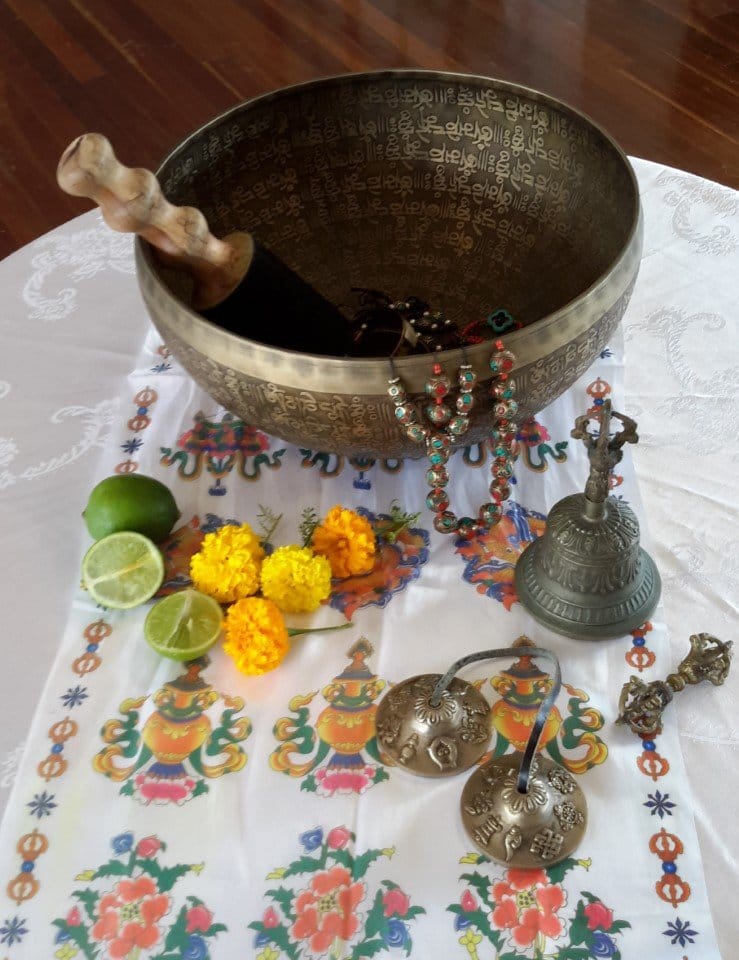 Still life inspiration the Cooloola Coast Art Group draw from at their weekly catch ups