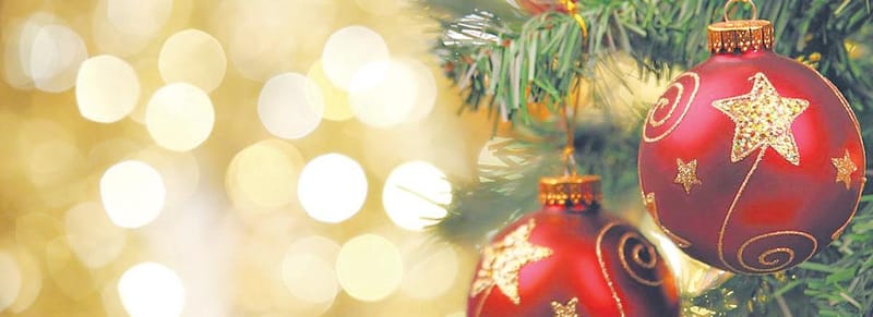 Support local this festive season! post image