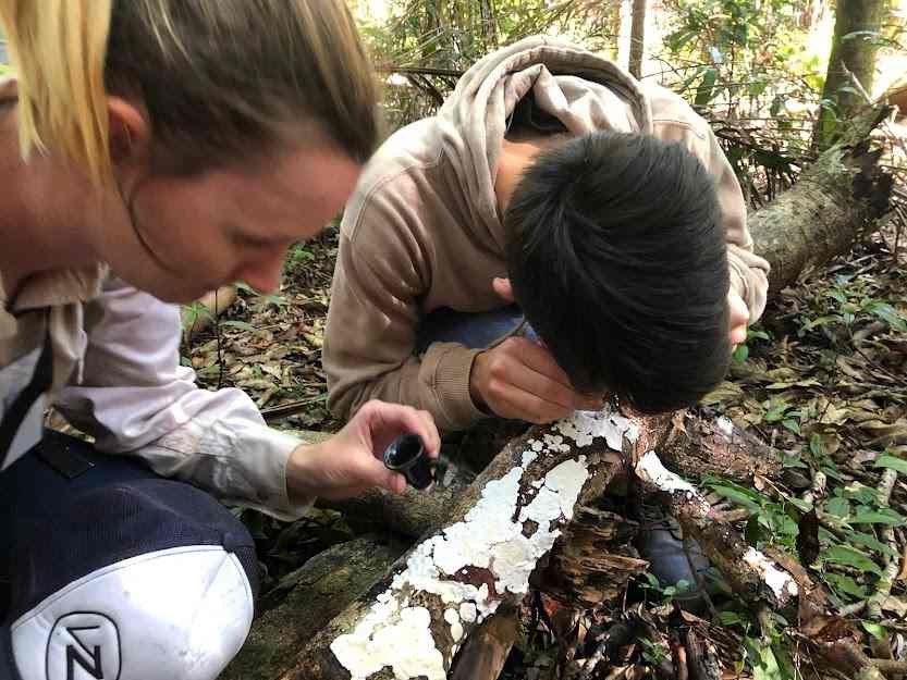 Get up close and personal with our local living species at the 2022 Cooloola BioBlitz. Photo source www.cooloolacoastcare.org