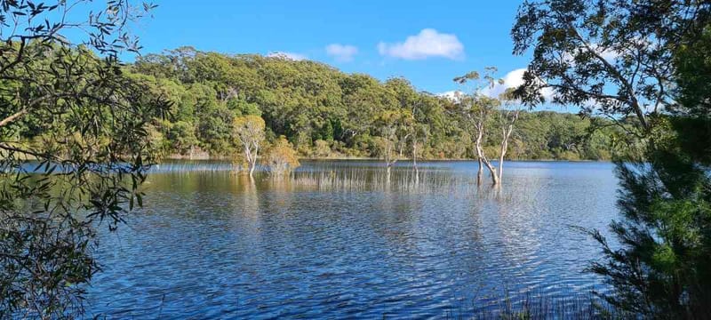 Cooloola Coastcare - After the very wet season, the entire sand spit and beach at Poona Lake are under water.