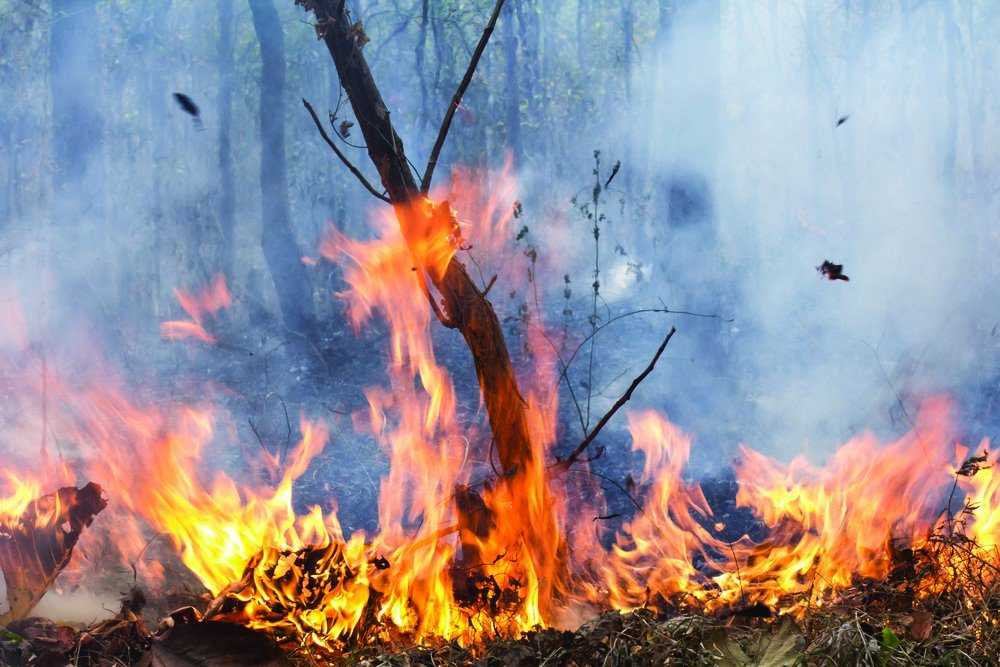 Disaster Management - July 2020