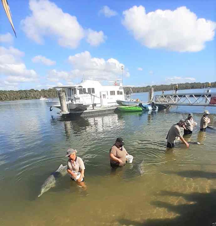 Dolphin News! Jan 2022