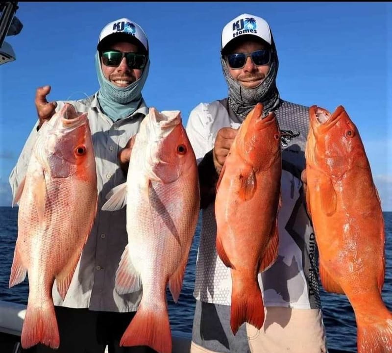 Gafa Twins - Don't Feed Dolphins