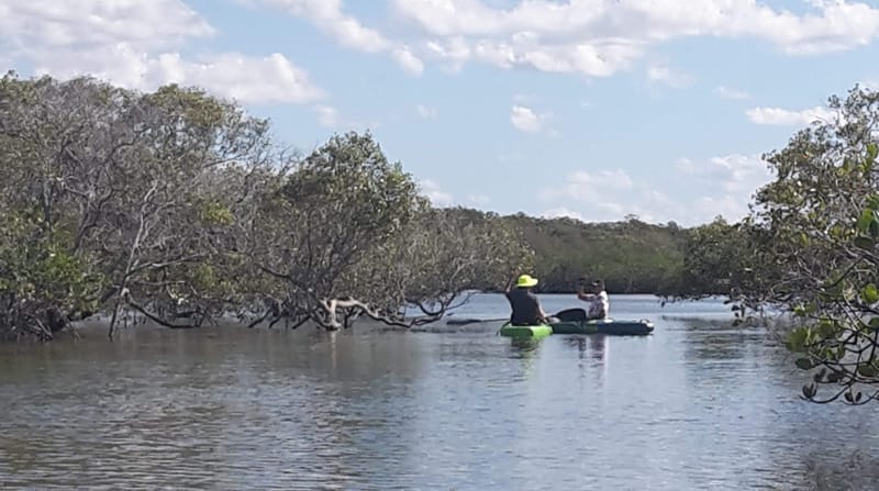 Cooloola Dragons kayaking instead of Dragon paddling.....social distancing of course!