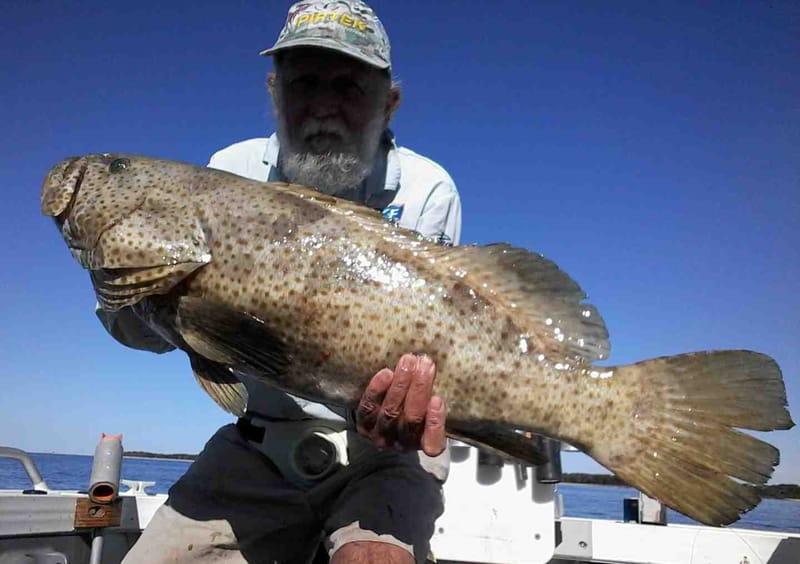 Club member Ron Cox showing off a 90cm cod catch