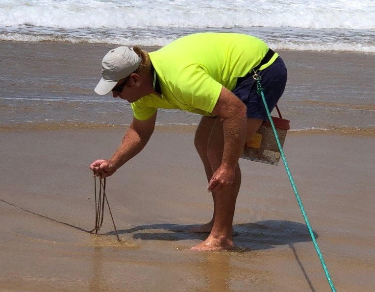 Drew Gardiner, owner of Gardiner Fisheries, has organised the Whiting Competition and is a keen angler and bait catcher himse