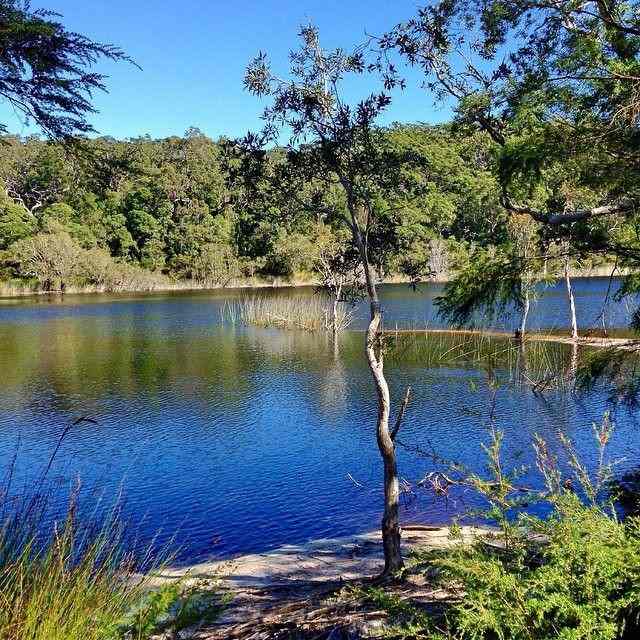 Take a walk through the bush to see beautiful Poona Lake. Photo by Melissa Marie.