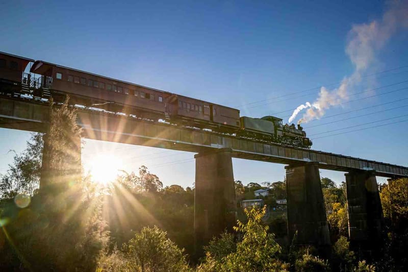 Rattler - Summer Sunset Express
