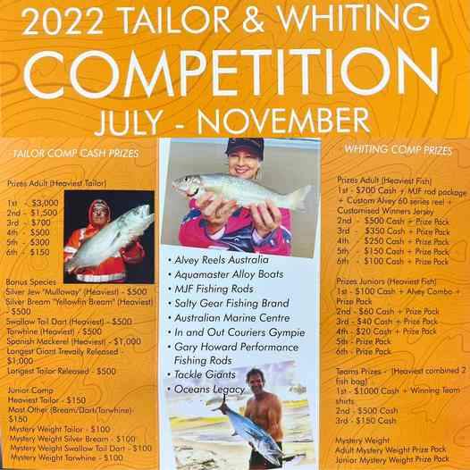 It’s Tailor Comp Time! post image