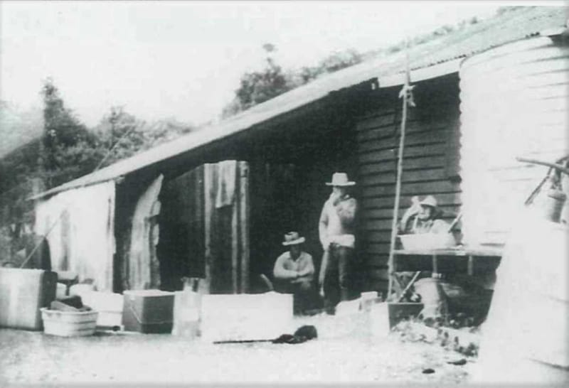 WAY BACK WHEN - Chaplin's Ice Shed at Double Island Point