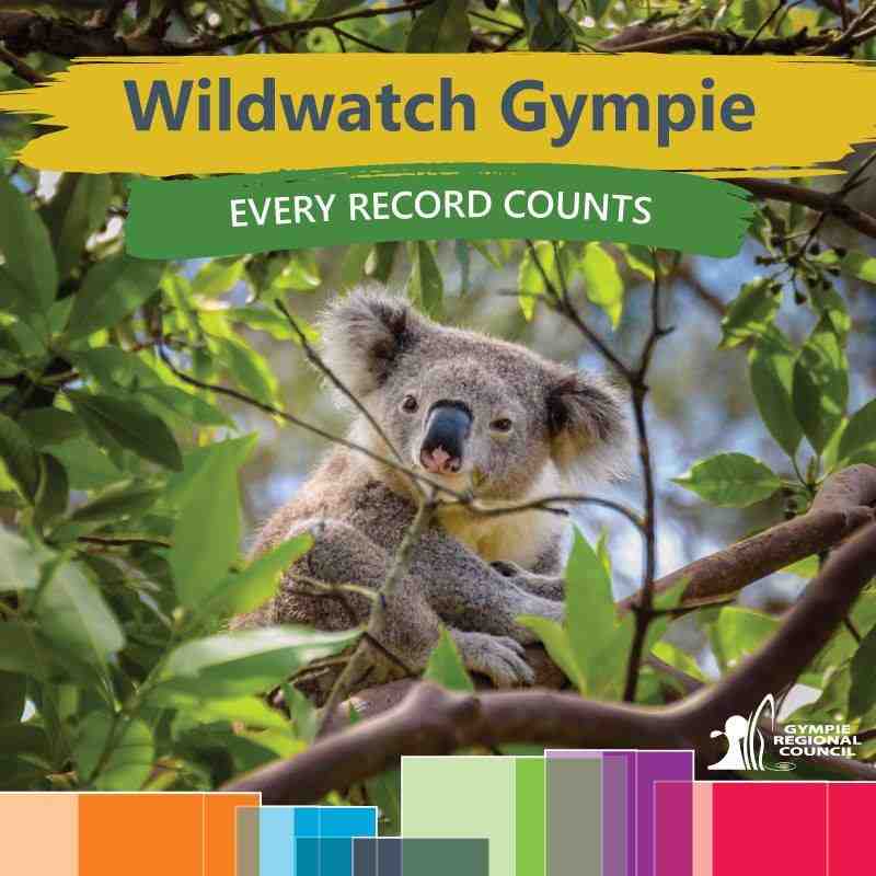WildWatch Gympie
