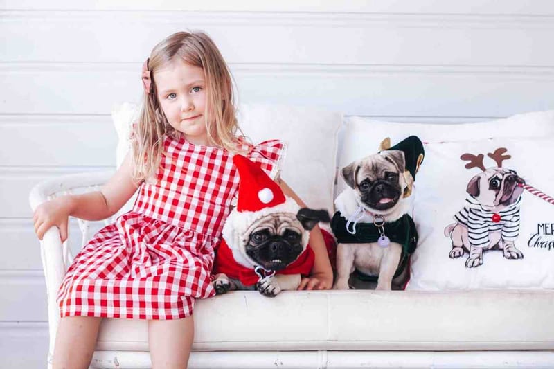 Tigerlily with Lady and Nala - Photographer Aimee Everson